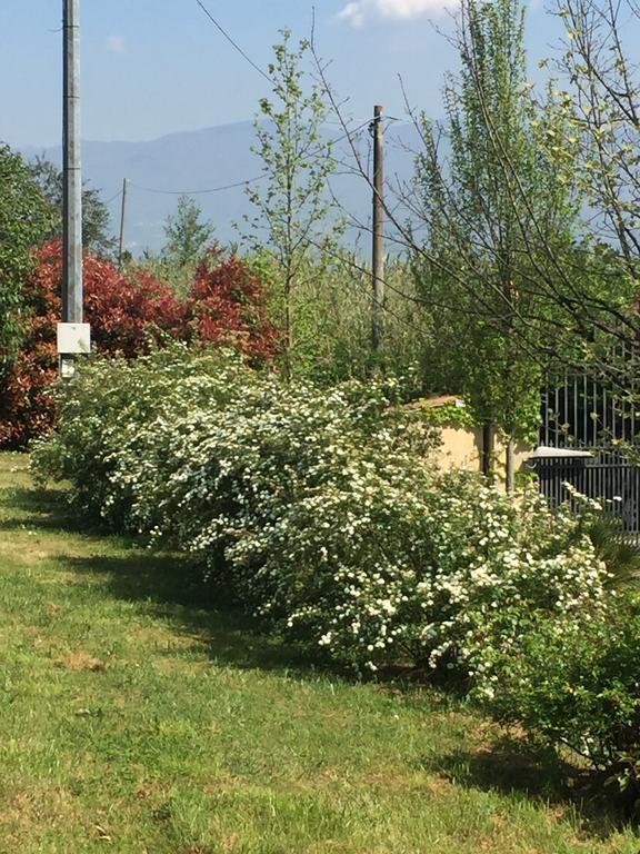 Lago Gabbiano Podere Casanova Pistoia Buitenkant foto
